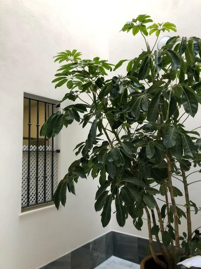 Jano Puertatierra Apartment Cadiz 0*,  Spain